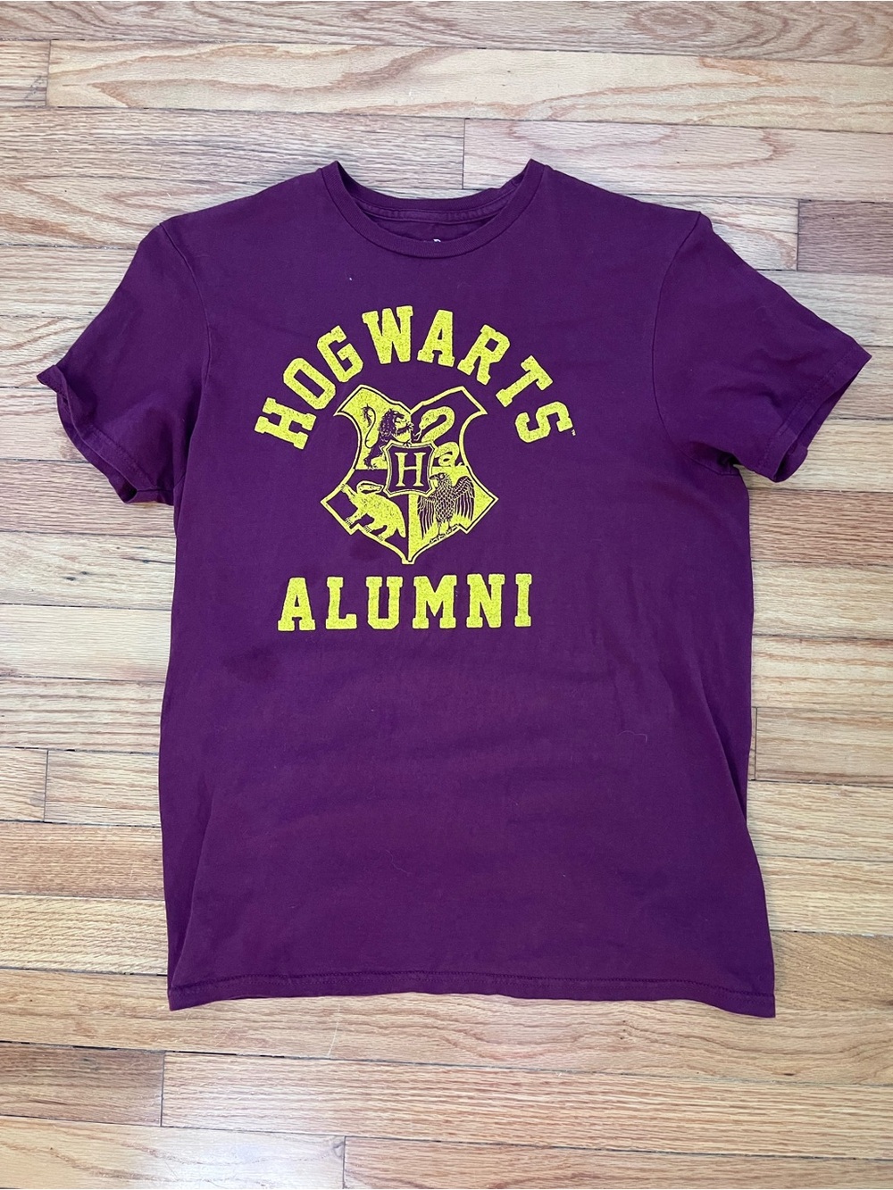 Warner Bros. Harry Potter Tee - Deep Plum with Pale Print